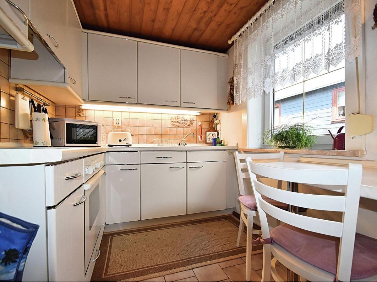 Apartment In Thuringian Forest With Garden Oberweißbach المظهر الخارجي الصورة